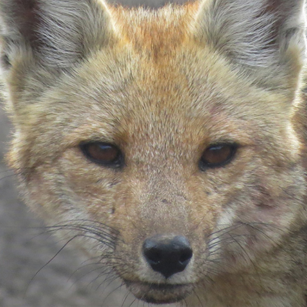 Programa de educación ambiental