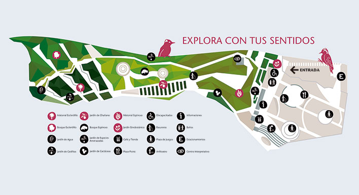 explora-con-santidos